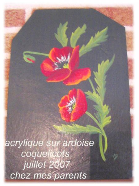 coquelicots